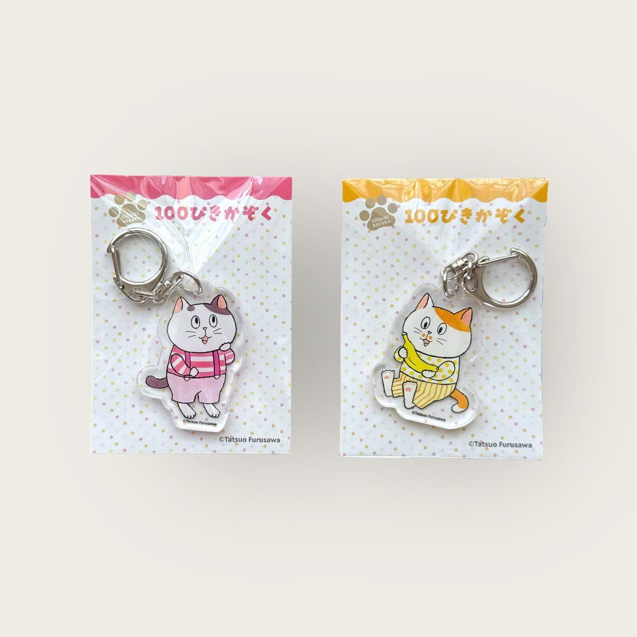 絵本『100ぴきかぞく キャンプへいく』&手ぬぐい&キーホルダー+サイン色紙付き